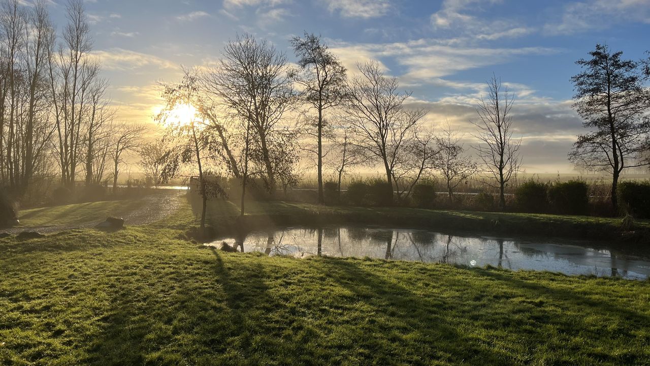 Gartenteich Gartenteich